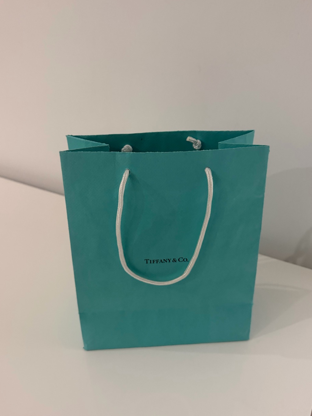 Tiffany & Co. Small Turquoise Paper Tote With White Rope Handles